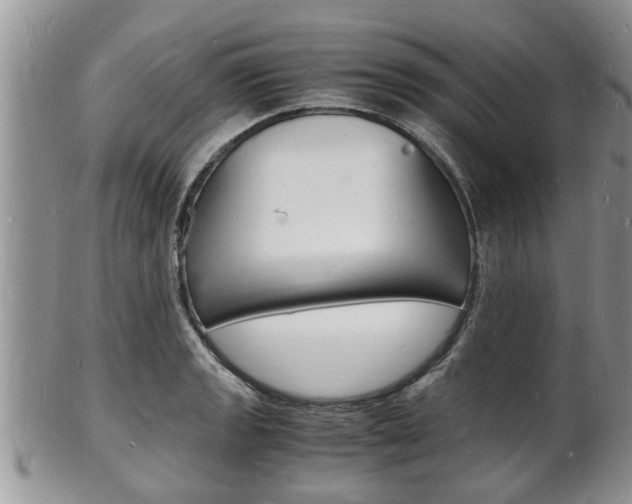X0000102781133200808180925