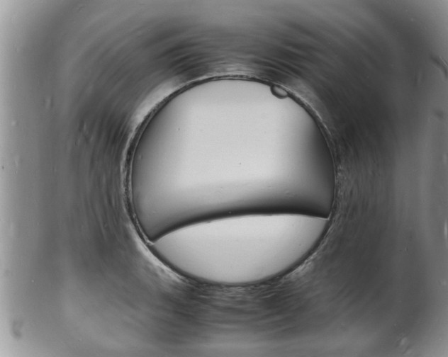 X0000102781135200808180925