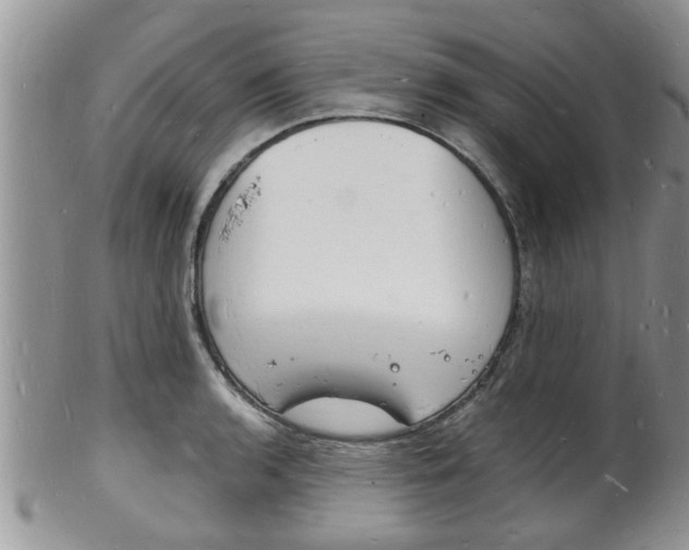 X0000102781136200808180925