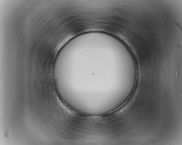 X0000102781137200808180925