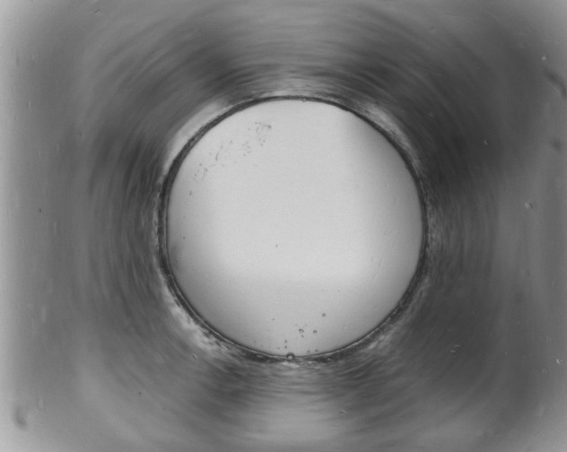 X0000102781138200808180925