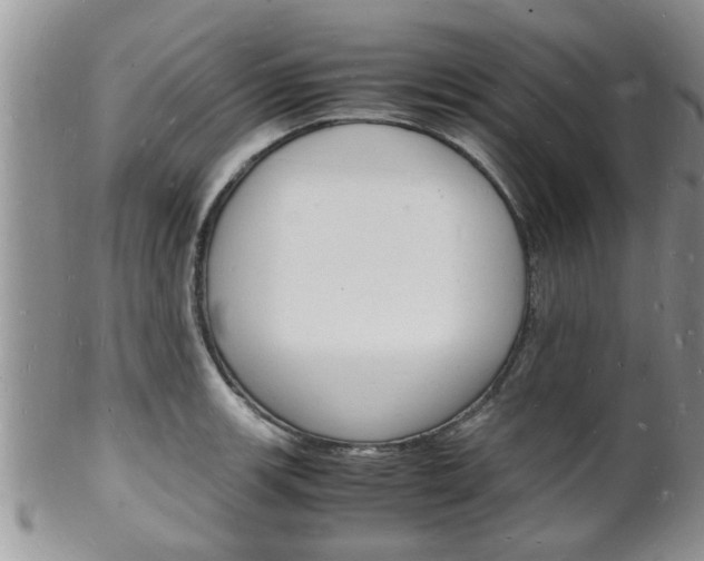 X0000102781139200808180925