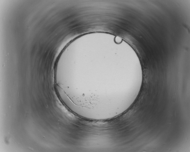 X0000102781140200808180925