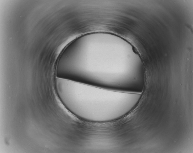 X0000102781142200808180925