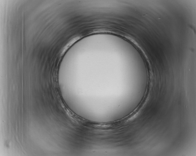 X0000102781145200808180925