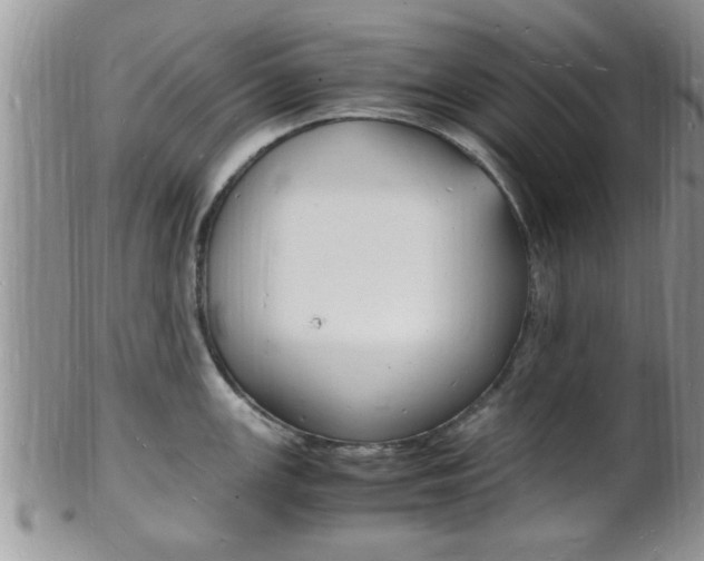 X0000102781147200808180925