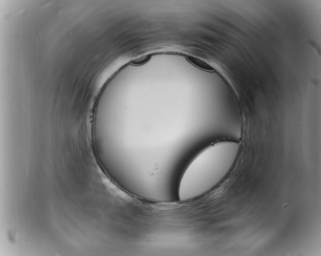 X0000102781151200808180925