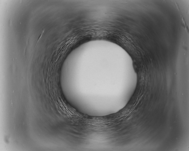 X0000102781153200808180925
