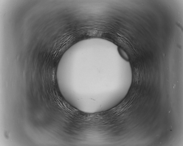 X0000102781154200808180925