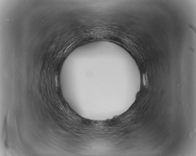 X0000102781155200808180925