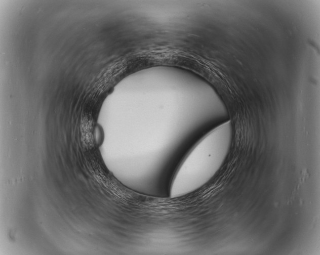 X0000102781156200808180925