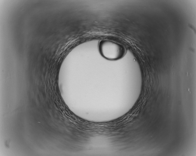 X0000102781157200808180925