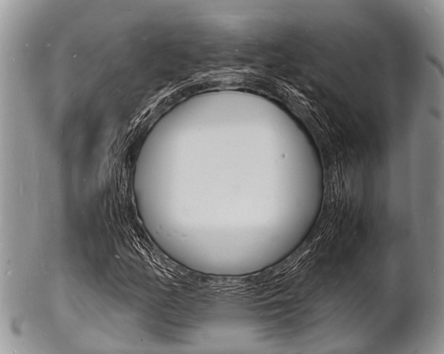 X0000102781158200808180925