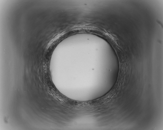 X0000102781159200808180925