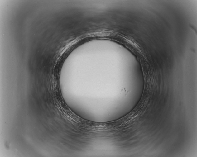 X0000102781160200808180925