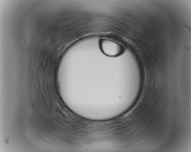 X0000102781161200808180924