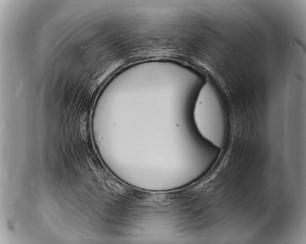 X0000102781162200808180924