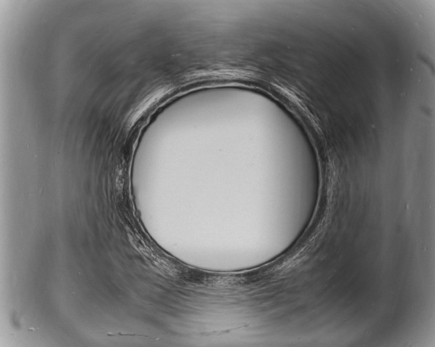 X0000102781163200808180924