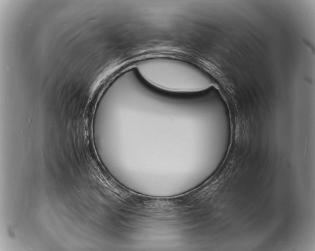 X0000102781164200808180924