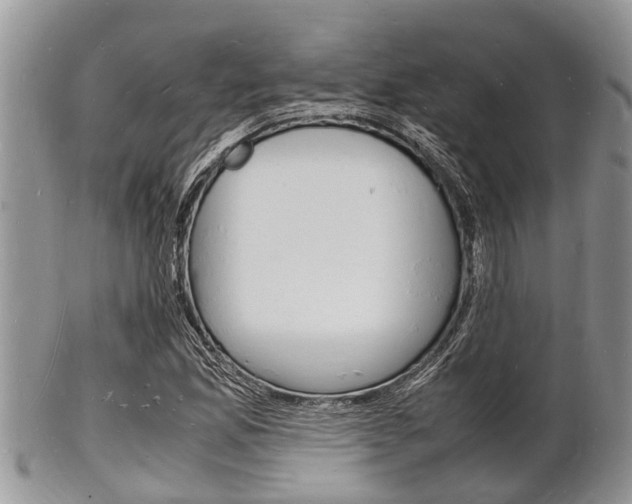 X0000102781165200808180924