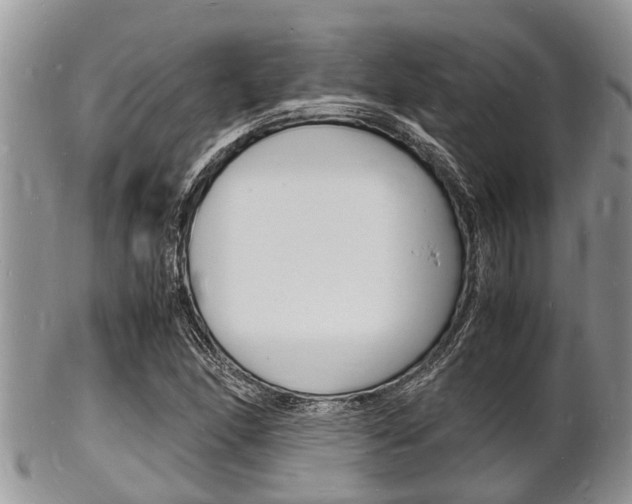 X0000102781166200808180924