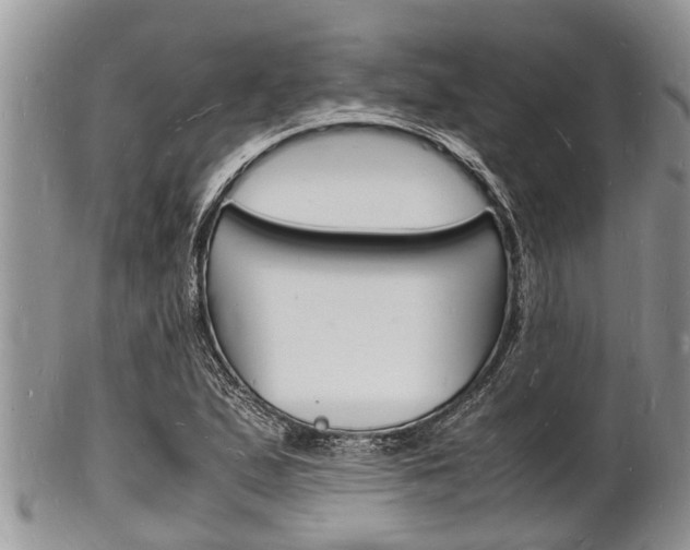 X0000102781167200808180924