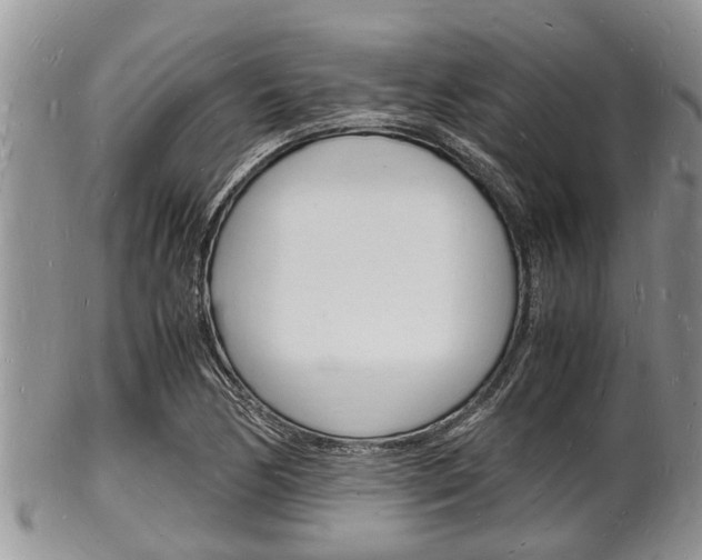 X0000102781170200808180924