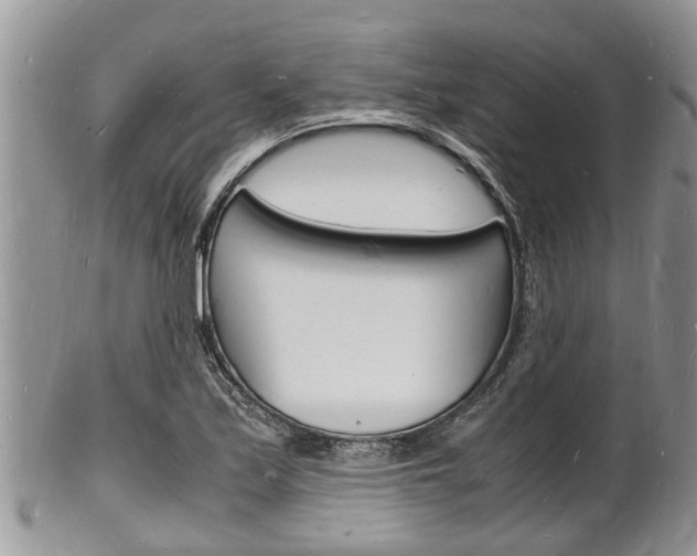 X0000102781171200808180924