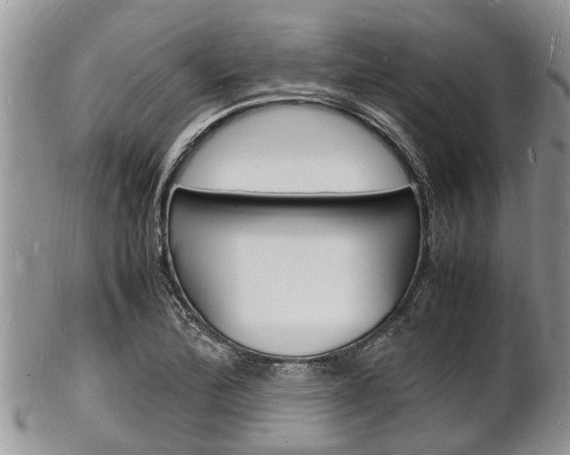 X0000102781172200808180924