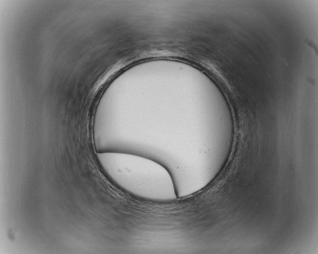 X0000102781173200808180924