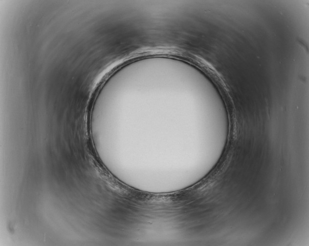 X0000102781174200808180924
