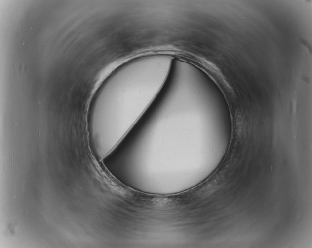 X0000102781176200808180924