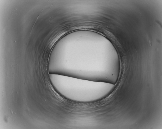 X0000102781177200808180924