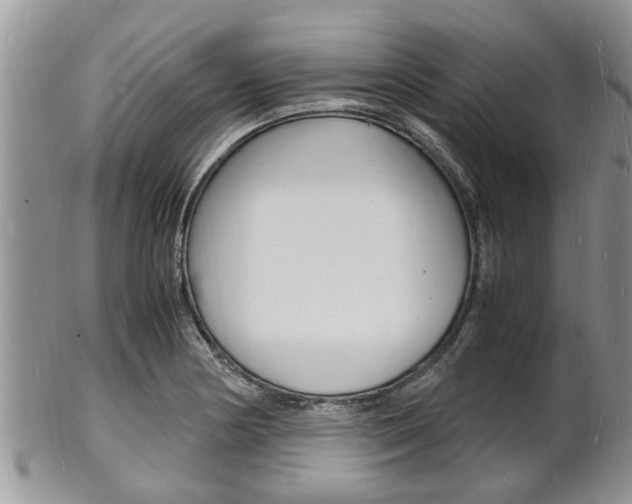 X0000102781178200808180924