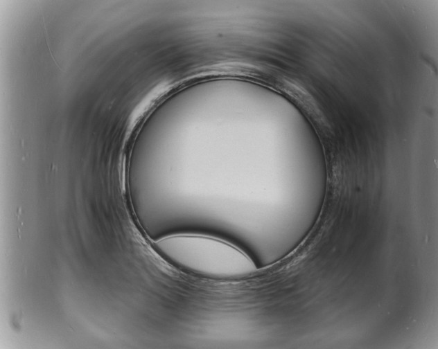 X0000102781180200808180924