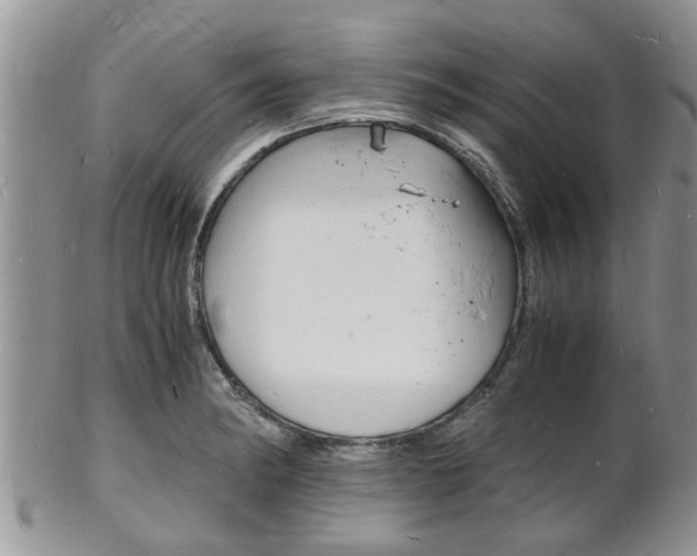 X0000102781182200808180924