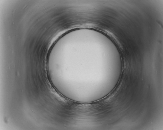 X0000102781184200808180924