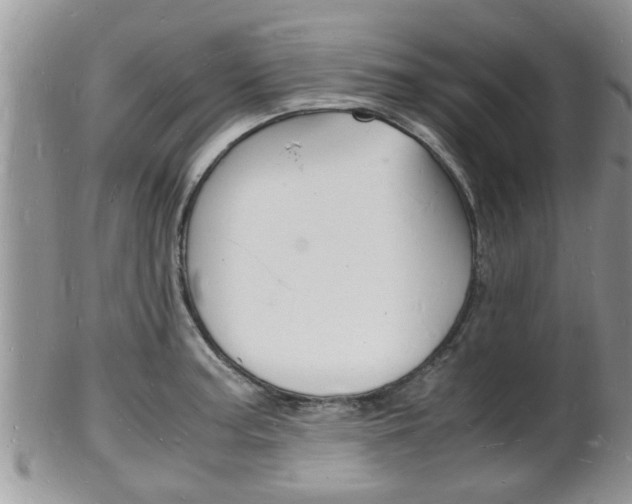 X0000102781187200808180924