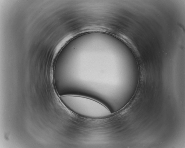 X0000102781188200808180924