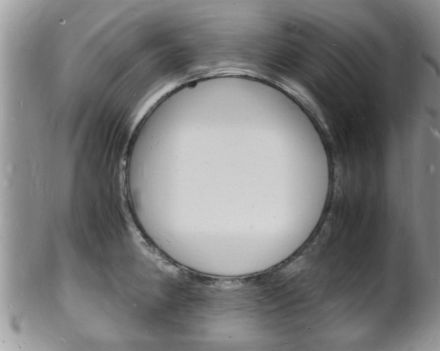 X0000102781190200808180924