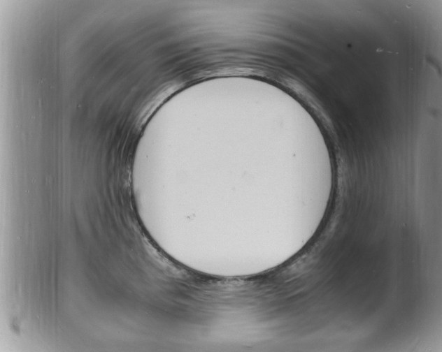 X0000102781193200808180924