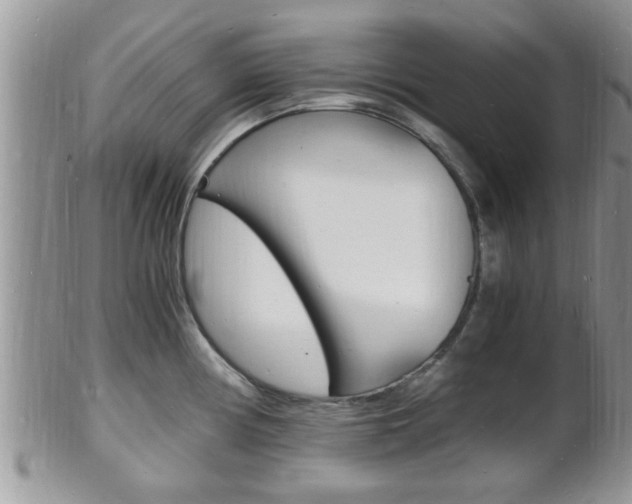 X0000102781194200808180924