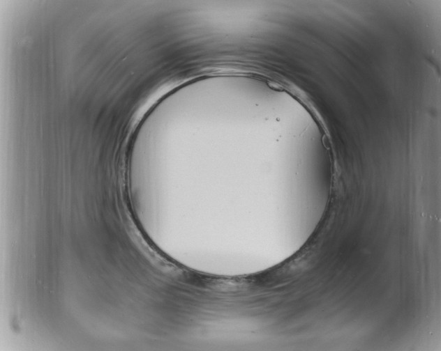 X0000102781195200808180924