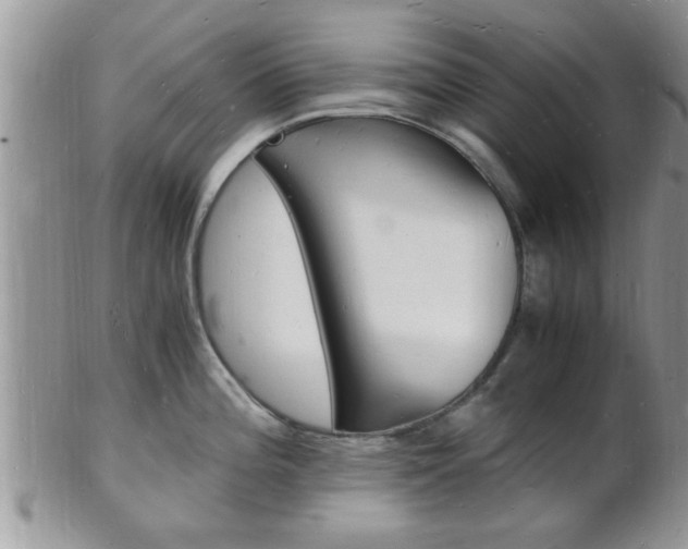 X0000102781196200808180924