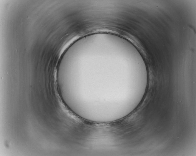 X0000102781198200808180924