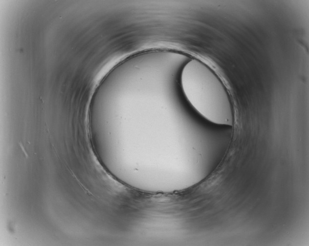 X0000102781199200808180924