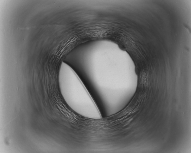 X0000102781202200808180923