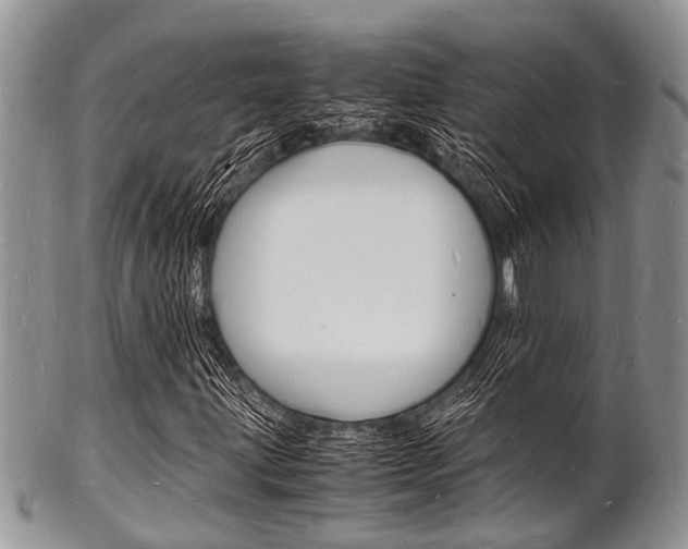 X0000102781203200808180923