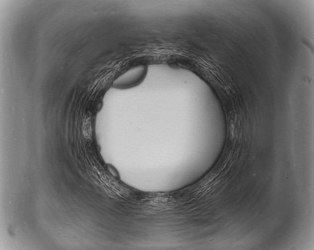 X0000102781204200808180923