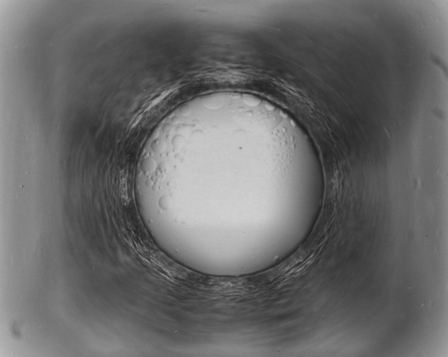 X0000102781205200808180923